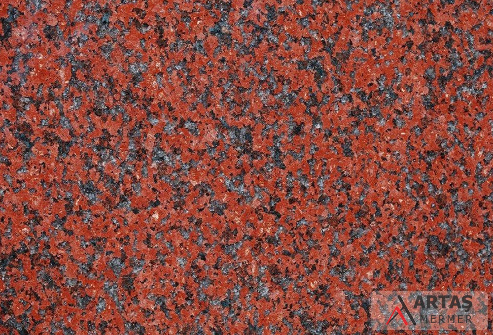 African Red African Red