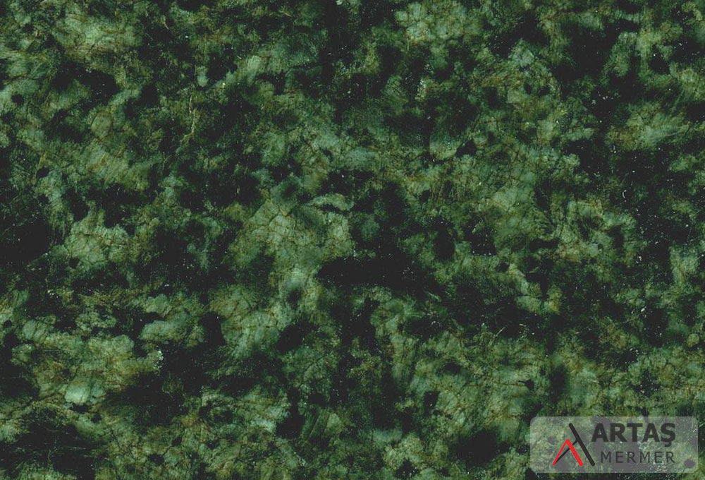 Green Paradise Green Paradise