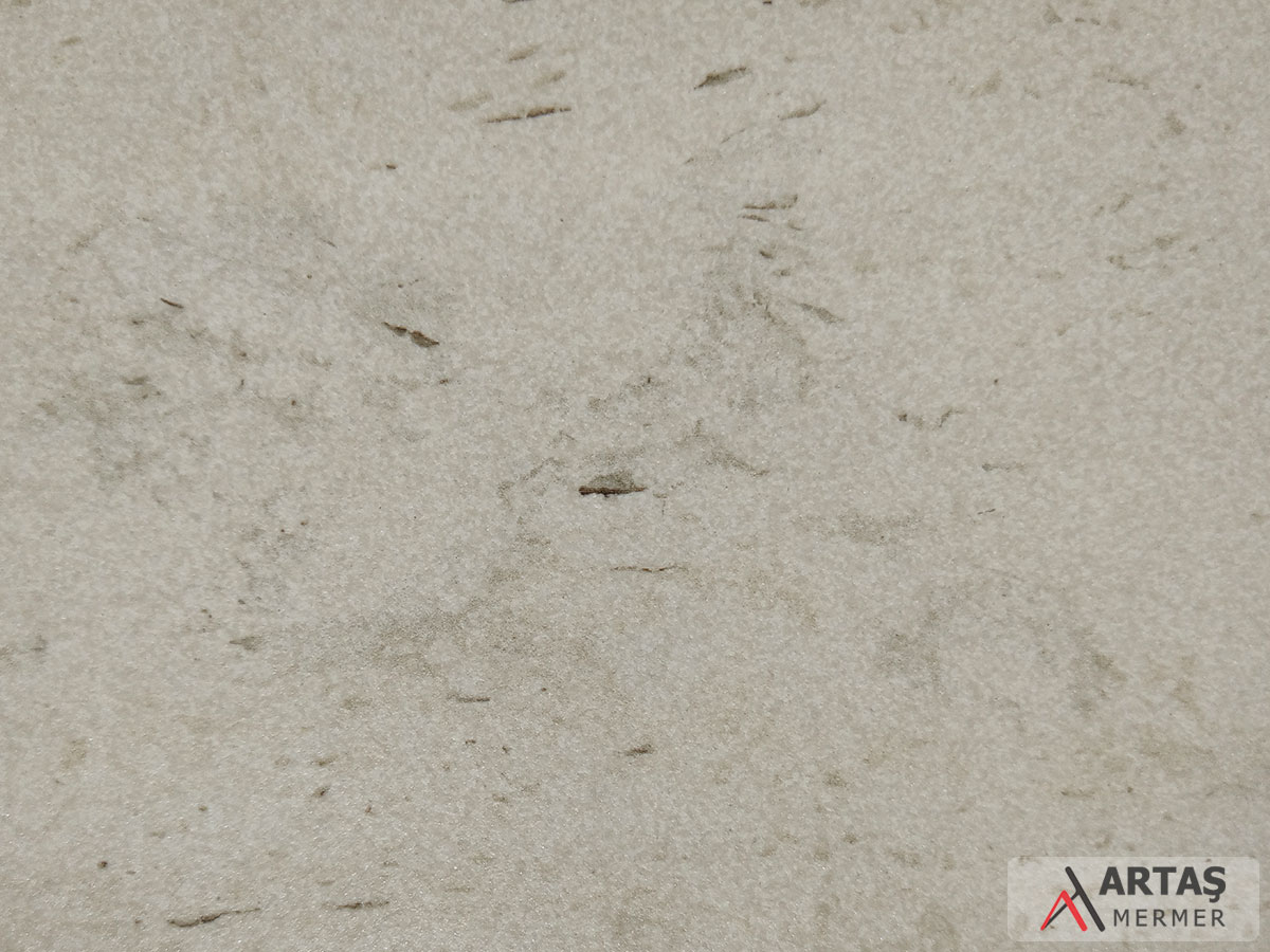 Danae Dekton Danae Dekton